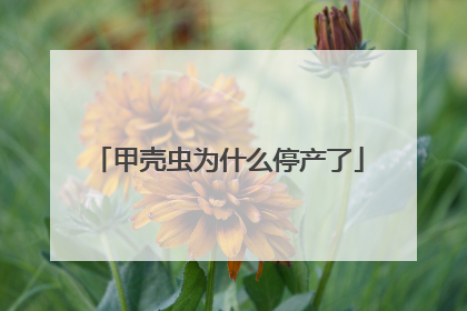 甲壳虫为什么停产了