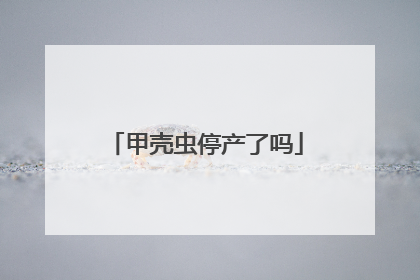 甲壳虫停产了吗