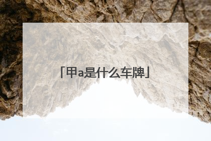 甲a是什么车牌