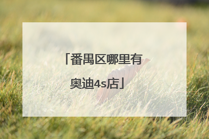 番禺区哪里有奥迪4s店