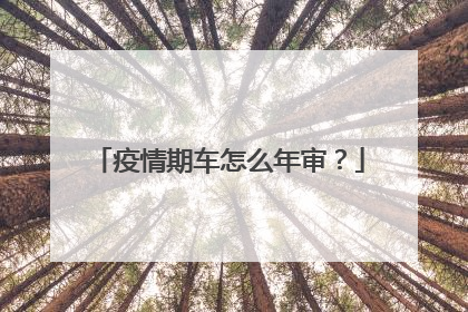 疫情期车怎么年审？
