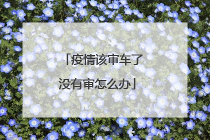 疫情该审车了没有审怎么办