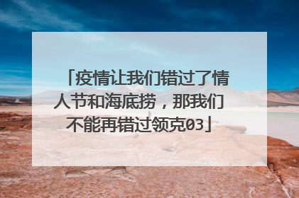 疫情让我们错过了情人节和海底捞，那我们不能再错过领克03