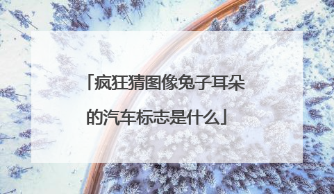 疯狂猜图像兔子耳朵的汽车标志是什么