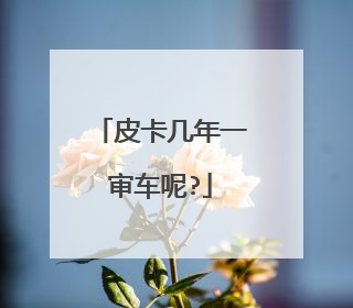 皮卡几年一审车呢?