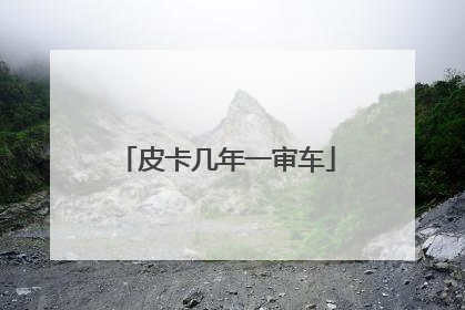 皮卡几年一审车