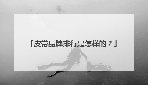 皮带品牌排行是怎样的？