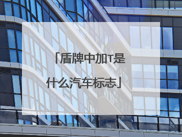 盾牌中加T是什么汽车标志