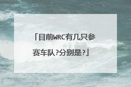 目前WRC有几只参赛车队?分别是?