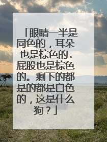 眼睛一半是同色的，耳朵也是棕色的.屁股也是棕色的。剩下的都是的都是白色的，这是什么狗？