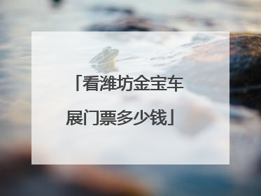看潍坊金宝车展门票多少钱