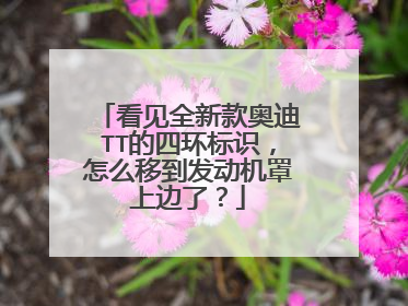 看见全新款奥迪TT的四环标识，怎么移到发动机罩上边了？