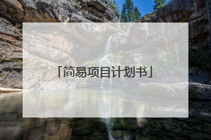 简易项目计划书