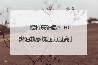 福特蒙迪欧2.0T燃油轨系统压力过高