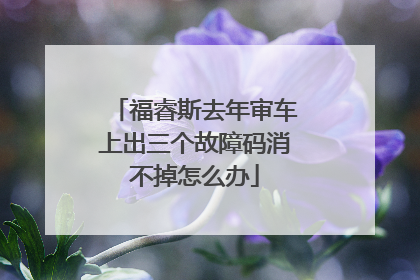 福睿斯去年审车上出三个故障码消不掉怎么办