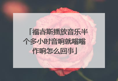 福睿斯播放音乐半个多小时音响就嗡嗡作响怎么回事