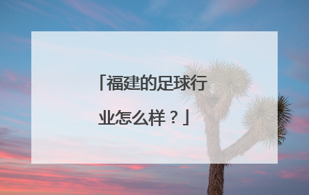 福建的足球行业怎么样？