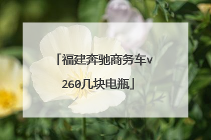 福建奔驰商务车v260几块电瓶