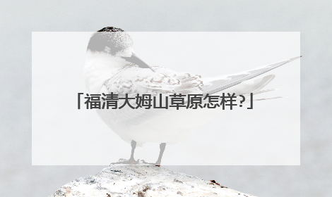 福清大姆山草原怎样?