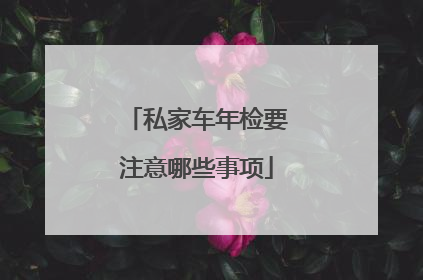 私家车年检要注意哪些事项