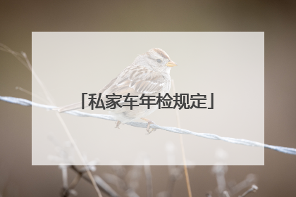私家车年检规定