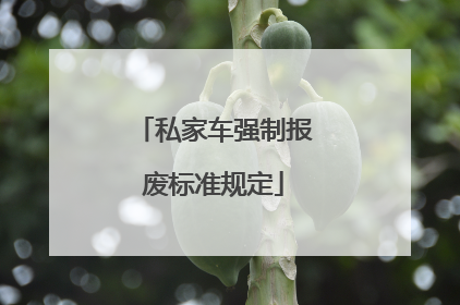 私家车强制报废标准规定