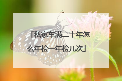 私家车满二十年怎么年检一年检几次
