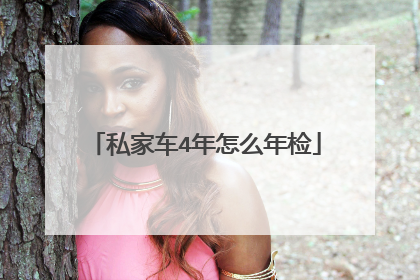 私家车4年怎么年检