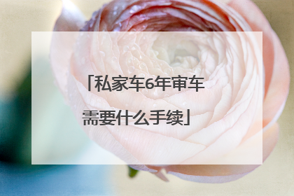 私家车6年审车需要什么手续