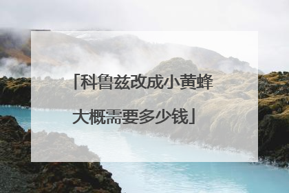 科鲁兹改成小黄蜂大概需要多少钱