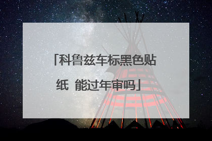 科鲁兹车标黑色贴纸 能过年审吗