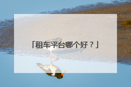 租车平台哪个好？