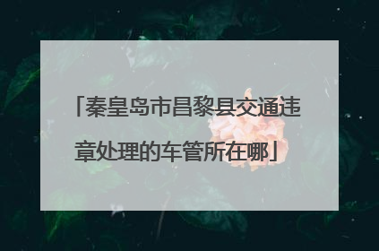 秦皇岛市昌黎县交通违章处理的车管所在哪