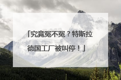 究竟冤不冤？特斯拉德国工厂被叫停！