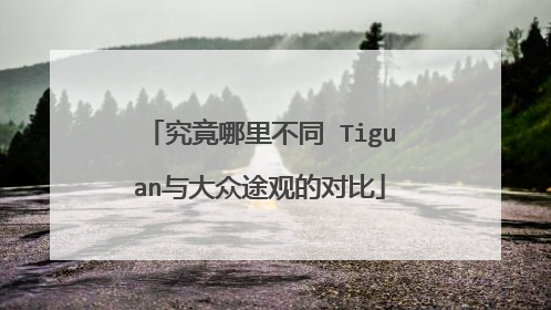 究竟哪里不同 Tiguan与大众途观的对比