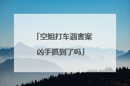 空姐打车遇害案凶手抓到了吗