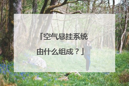 空气悬挂系统由什么组成？