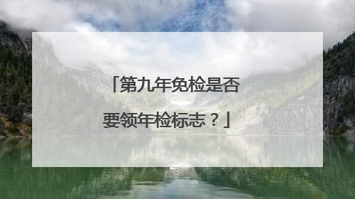 第九年免检是否要领年检标志？