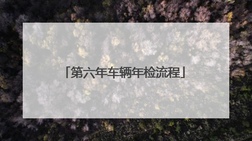 第六年车辆年检流程