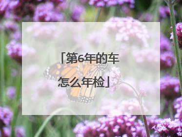 第6年的车怎么年检