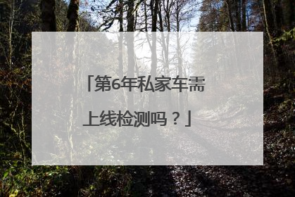 第6年私家车需上线检测吗？