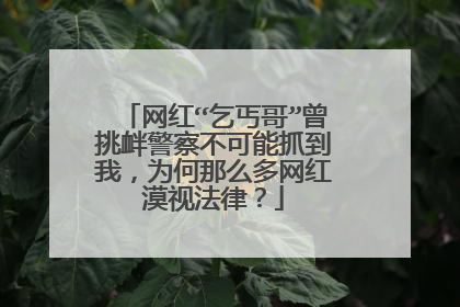 网红“乞丐哥”曾挑衅警察不可能抓到我，为何那么多网红漠视法律？