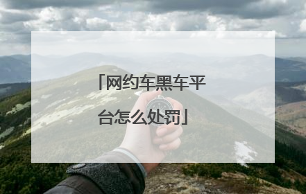 网约车黑车平台怎么处罚