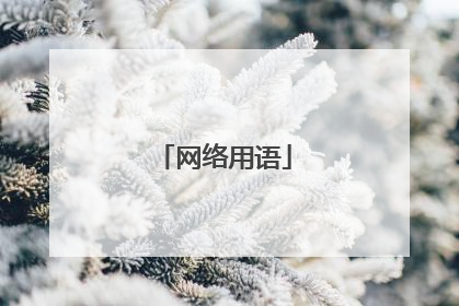 网络用语