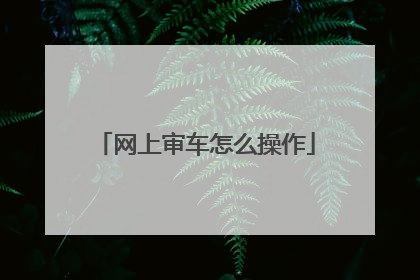 网上审车怎么操作