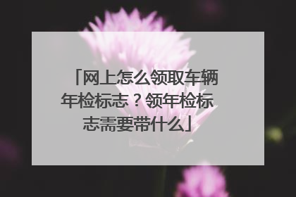 网上怎么领取车辆年检标志？领年检标志需要带什么