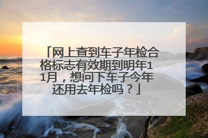 网上查到车子年检合格标志有效期到明年11月，想问下车子今年还用去年检吗？