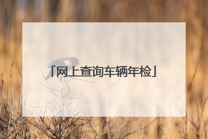网上查询车辆年检