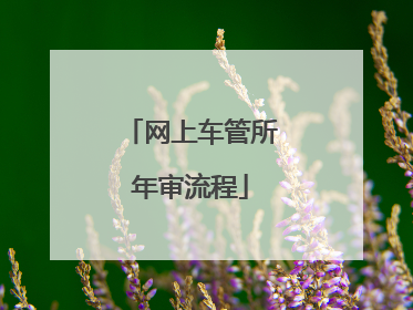 网上车管所年审流程