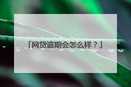 网贷逾期会怎么样？